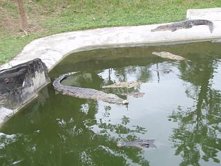 Anaconda hp 063